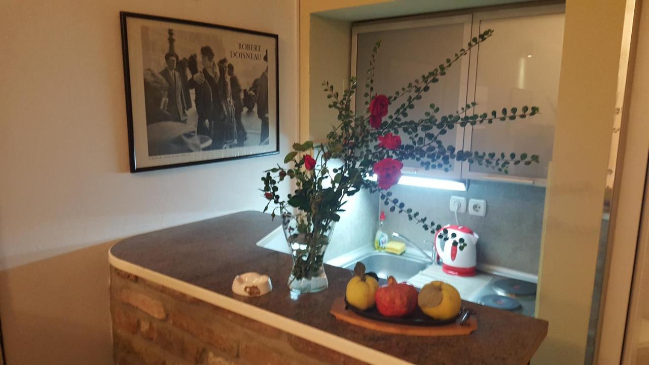 Green Point Apartments Dusanovac Extérieur photo